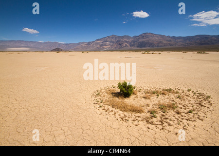 Geknackt Schlamm in einem getrockneten Seegrund im Death Valley National Park in Kalifornien, USA Stockfoto