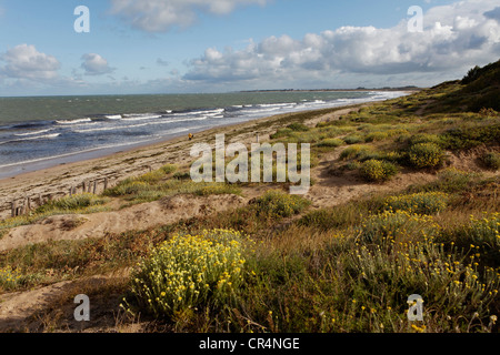 Küstenlandschaft, Oléron Insel, Charentes Maritimes, Frankreich, Europa Stockfoto