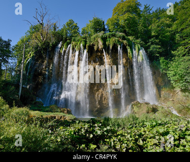 2128 prstavac Wasserfall, Plitvicer Seen, Kroatien, Europa Stockfoto
