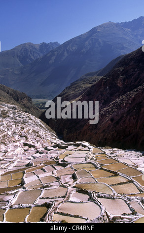 Salinas Salinen. Heiliges Tal, Abteilung von Cuzco, Peru. Stockfoto