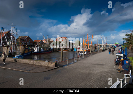 Hafen, Neuharlingersiel, Ostfriesland, Niedersachsen, Deutschland, Europa Stockfoto