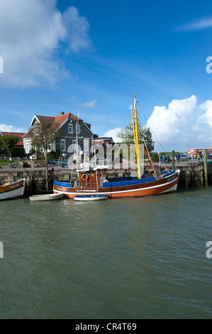 Fischereihafen, Neuharlingersiel, Ostfriesland, Niedersachsen, Deutschland, Europa Stockfoto