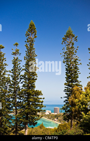 Frankreich, Nouvelle Caledonie, Noumea, Anse Vata District, Anzeigen von Hügel Ouen Toro Stockfoto