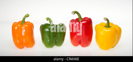 Bunte Paprika Paprika, orange, grün, rot, gelb, Studio-Fotografie Stockfoto