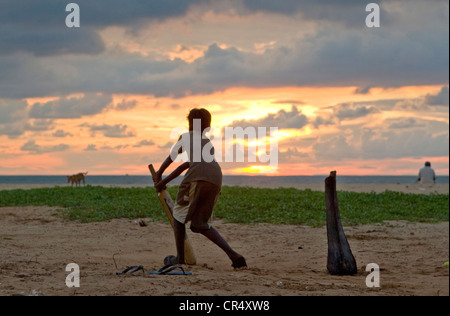 Sri Lankans spielen Cricket im schwindenden Licht des Sonnenuntergangs am Strand von Negombo, Sri Lanka Stockfoto