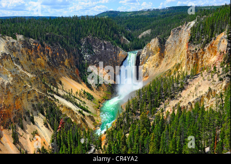 Lower Falls Yellowstone River National Park Wyoming WY USA Stockfoto