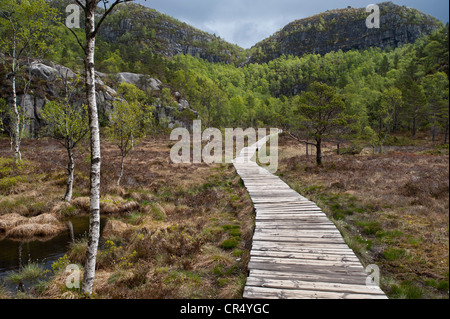 Holzweg zum Preikestolen, auch bekannt als Preikestolen, Jorpeland, Rogaland, Norwegen, Skandinavien, Nordeuropa Stockfoto