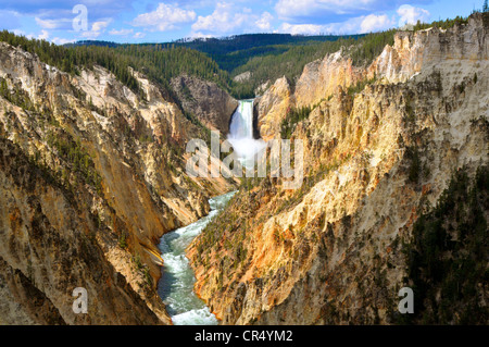 Lower Falls Yellowstone River National Park Wyoming WY USA Stockfoto