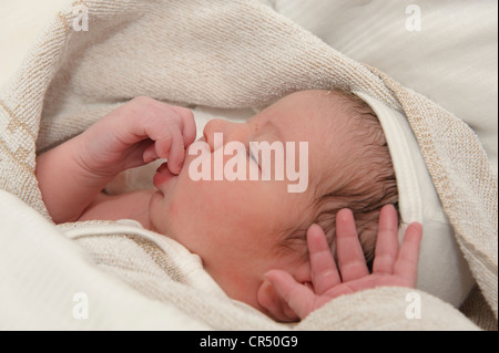 Neugeborenes Baby, wenige Stunden nach der Geburt, in eine kuschelige Decke gehüllt Stockfoto