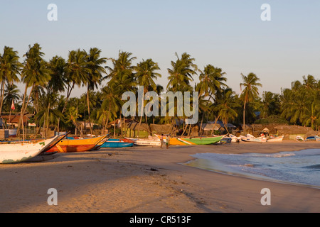 Ausleger-Angeln-Kanus am Strand, Arugam Bay, Sri Lanka Stockfoto