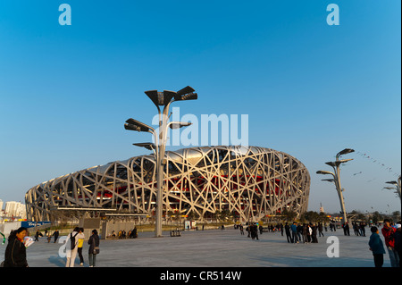 Vogels Nest Nationalstadion von Architekten Herzog und De Meuron, 2008 Olympic Green, Peking, China, Asien Stockfoto