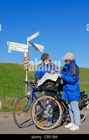 Radfahrer, die lesen, Landkarte, Radweg auf einem Deich in der Nähe von Nesse, Ostfriesland, Niedersachsen, Deutschland, Europa Stockfoto