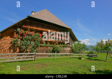 Schweiz, Kanton Bern, Emmental, Bauernhof, Sonnenblumen, Helianthus