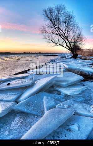 Eis an den Ufern des Flusses Elbe im Winter, Kirchwerder, Vier-Und Marschlande Landschaft, Hamburg, Deutschland, Europa Stockfoto