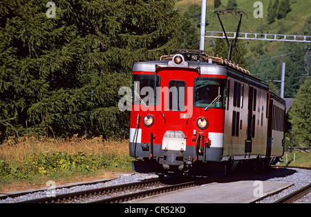 Schweiz, Wallis, Linie des Express-Gletschers in der Nähe von Münster (Goms), Schweizer Bahn Stockfoto