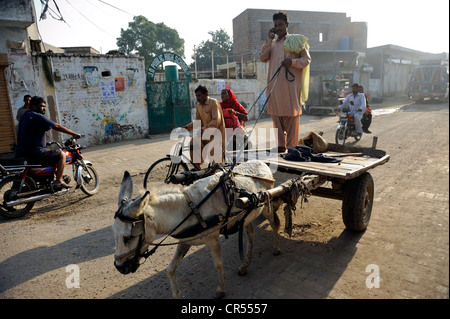 Mann reitet ein Eselskarren sprechen auf einem Handy, Straßenszene in das christliche Viertel von Youhanabad, Lahore, Punjab Stockfoto