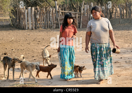 Einheimische Mädchen und jede Frau vom Stamm Wichi-Indianer, gefolgt von Hunden und Ferkel in ihrem Dorf, Zapota, Gran Chaco, Salta Stockfoto