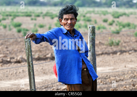 Landraub, Pedro Segundo die Wichi-Indianer-Stamm, Cacique, Gemeindevorsteher der Gemeinde San José, stehend auf einem Stockfoto