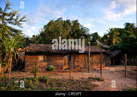 Traditionelles Haus aus Schlamm, Amazonas Regenwald, Maranhao, Brasilien, Südamerika, Lateinamerika Stockfoto