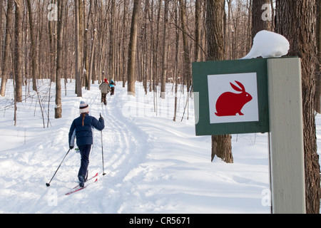 Kanada, Provinz Quebec, Montreal, junges Mädchen Langlaufen im Bois de Liesse Park Stockfoto