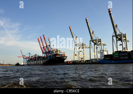 Laden ein Containerschiff aus China im Hamburger Hafen, Hanse Stadt Hamburg, Deutschland, Europa Stockfoto