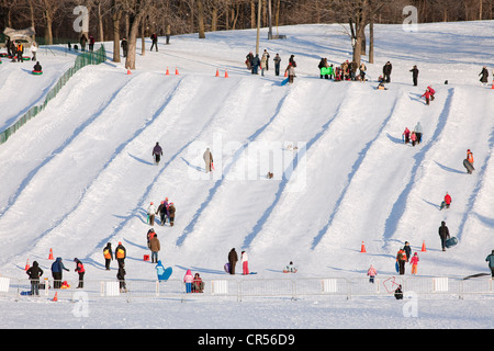 Kanada, Provinz Quebec, Montreal, Mount Royal Park, Lac Aux Rollen (Biber See), gleiten auf dem Schnee Stockfoto