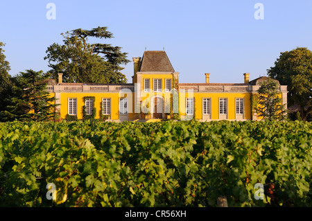 Frankreich, Gironde, St. Estephe, Medoc Region, Weinberg und Schloss Lafont Rochet wo 4. Cru Wein hergestellt wird Stockfoto