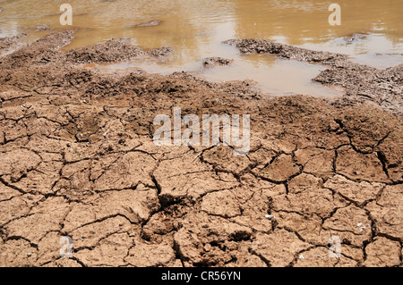 Rissigen Boden am Rande von einer fast verschwundenen Wasserloch, Auswirkungen des Klimawandels, Gran Chaco-Region, Provinz Stockfoto