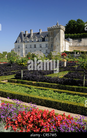 Frankreich, Indre et Loire, Loire-Tal UNESCO-Welterbe, Chateau de Villandry, das Schloss und die Gärten, im Besitz von Henry Stockfoto