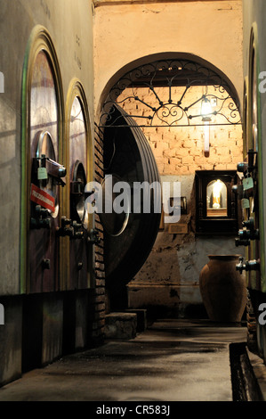 Eichenfässern und moderne Panzer für die Weinproduktion in der Bodega La Rural Weingut, Maipú, Provinz Mendoza, Argentinien Stockfoto