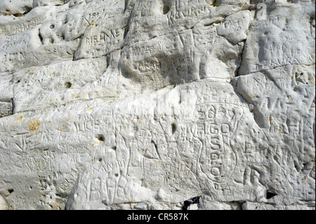 Namen in den Kreidefelsen der Seven Sisters Klippen in Sussex England Großbritannien von den Besuchern zerkratzt. Stockfoto