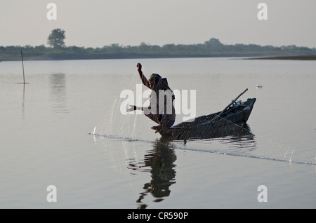 Fischer fangen Fische auf dem Fluss Brahmaputra, Brahmaputra Tal, Assam, Indien, Asien Stockfoto