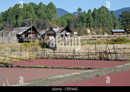 Typische Reis Paddys und Dorf Struktur des Apatani-Stammes, Hong Dorf, Arunachal Pradesh, Indien, Asien Stockfoto