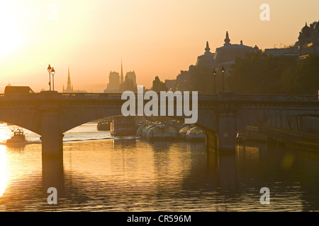 Frankreich, Paris, Seine Ufer UNESCO Welterbe, die Pont De La Concorde Stockfoto