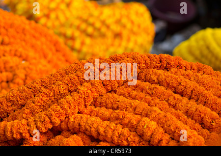 Blumengirlanden für den Verkauf auf dem Blumenmarkt von Kolkata, Westbengalen, Indien, Asien Stockfoto