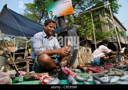 Fischhändler in den Straßen von Kalkutta, Westbengalen, Indien, Asien Stockfoto