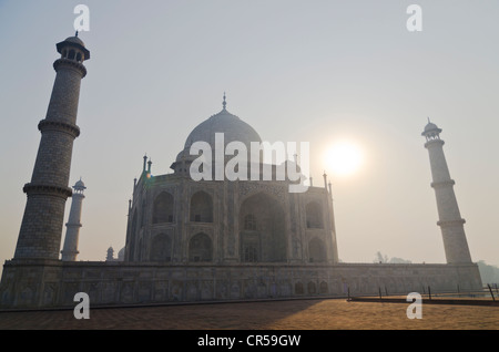 Das Taj Mahal, UNESCO World Heritage Site, gegen die aufgehende Sonne, Agra, Uttar Pradesh, Indien, Asien Stockfoto