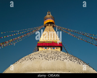 Buddhas Augen auf Boudnath Stupa, die größte Stupa in Nepal, Boudnath, Kathmandu, Nepal, Asien Stockfoto