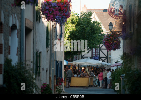 Frankreich, Loire-Atlantique, Piriac Sur Mer, Markt Stockfoto