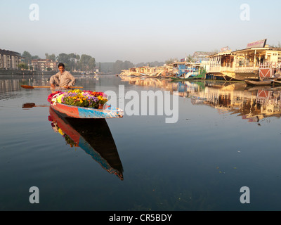 Blumen werden von Shikaras auf See Dal, Srinagar, Jammu und Kaschmir, Indien, Asien verkauft. Stockfoto