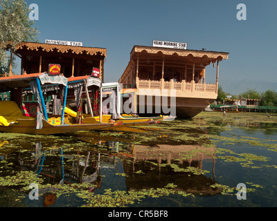 Hausboote auf Dal-See, beliebt für Touristen, in Srinagar, Jammu und Kaschmir, Indien, Asien Stockfoto