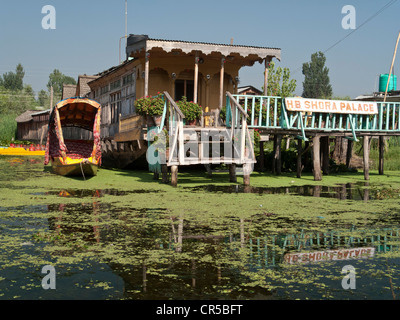 Hausboot auf Dal-See, beliebt, um Touristen in Srinagar, Jammu und Kaschmir, Indien, Asien Stockfoto