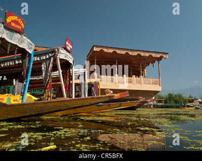 Hausboote auf Dal-See, beliebt, um Touristen in Srinagar, Jammu und Kaschmir, Indien, Asien Stockfoto