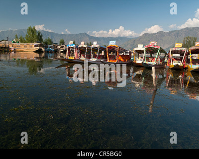 Hausboote auf Dal-See, beliebt, um Touristen in Srinagar, Jammu und Kaschmir, Indien, Asien Stockfoto