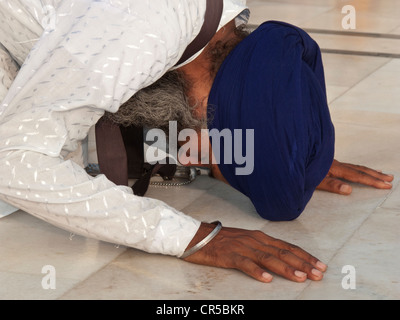 Sikh Anhänger beten am Eingang in die Golden Temple Complex, Amritsar, Punjab, Indien, Asien Stockfoto