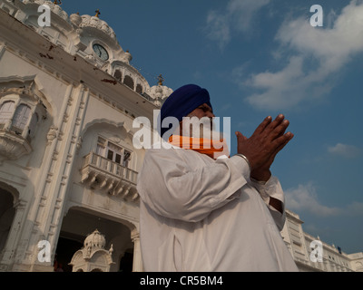 Sikh Anhänger beten am Eingang in die Golden Temple Complex, Amritsar, Punjab, Indien, Asien Stockfoto