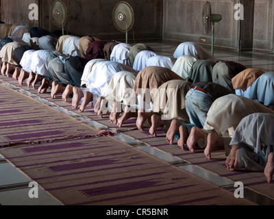 Muslime beten in Jama Mashid in Lahore, einer der größten Moscheen in Asien, Punjab, Pakistan, Südasien Stockfoto