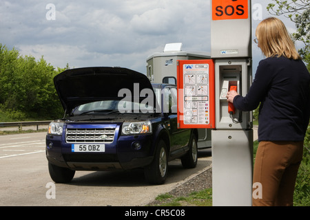 Land Rover Freelander 2 Abschleppen Ifor Williams Pferdeanhänger Stockfoto