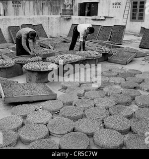 Geschichtsbild aus Hong Kong, 1950er Jahre. Eine männliche und weibliche Chinesen sind außerhalb Feuerwerk von hand machen. Stockfoto