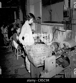 Hongkong, 1950er Jahre, eine junge chinesische Arbeiterin, die Gummihandschuhe trägt und in einer kleinen Fabrik in der Stadt einen großen Korbkorb mit niedrigen Maschinen hält und mit anderen asiatischen Frauen arbeitet. Die Arbeitsmoral und das Unternehmertum der hongkonger chinesen sahen in den Nachkriegsjahren ein unglaubliches Wachstum in der kleinen Produktion, wobei die geschätzte Zahl der kleinen Produktionsbetriebe bis in die 1990er Jahre mit rund 23,000 Unternehmen lag. Sie sind allgemein als „flachgewickelte Fabriken“ bekannt und beschäftigten in der Regel 10 Personen oder weniger und befanden sich in Untergeschossen oder ersten Stockwerken von Hochhäusern. Stockfoto